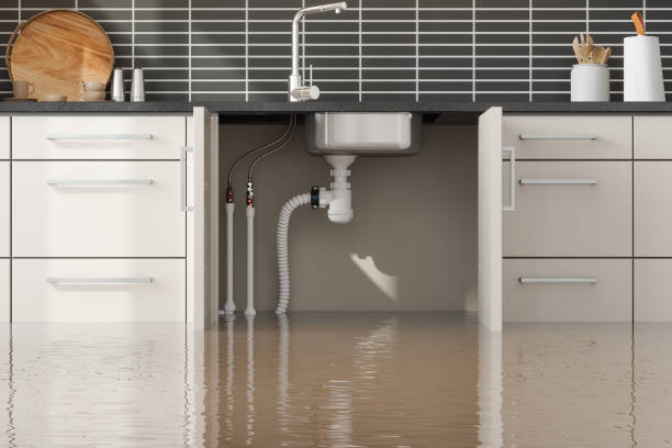 Best Water damage mitigation services  in USA